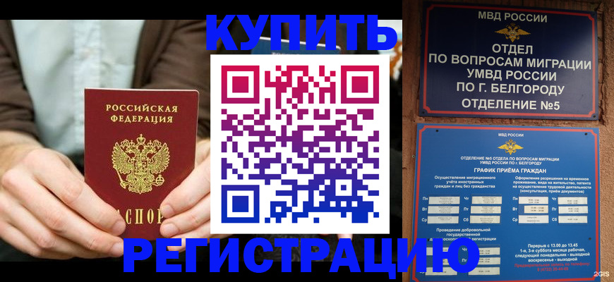 прописка 2025 в Моздоке